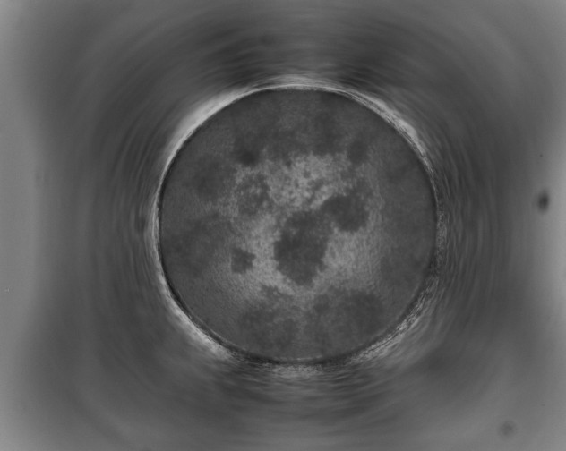 X0000100191239200806061251