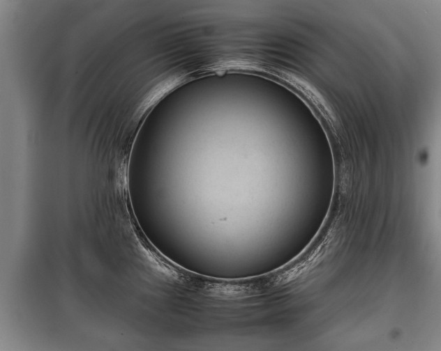 X0000100191241200806061251