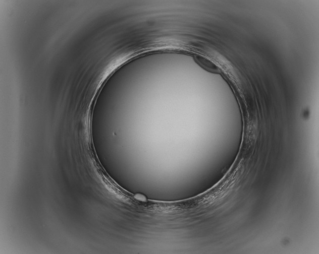 X0000100191242200806061251