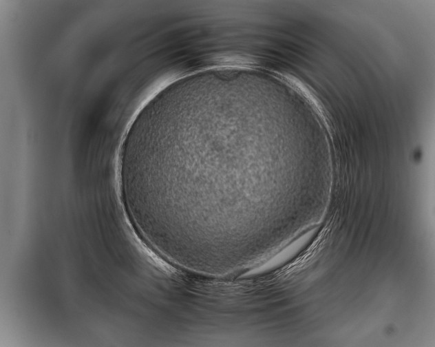 X0000100191243200806061251