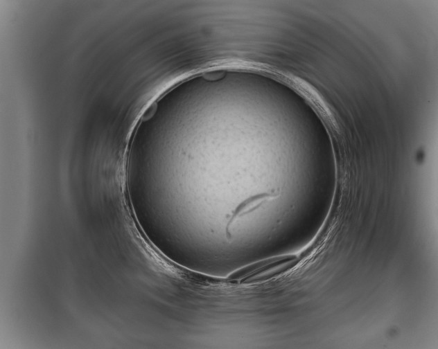 X0000100191244200806061251