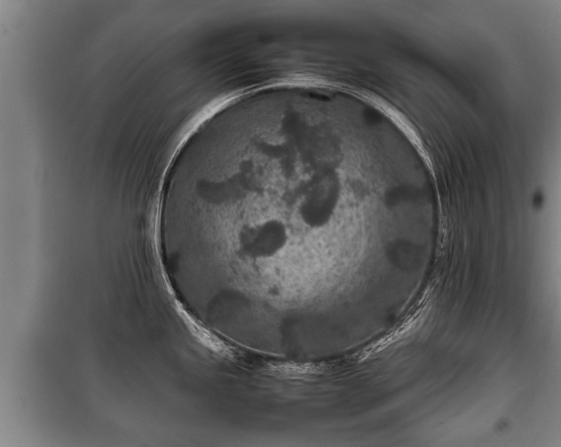 X0000100191245200806061251