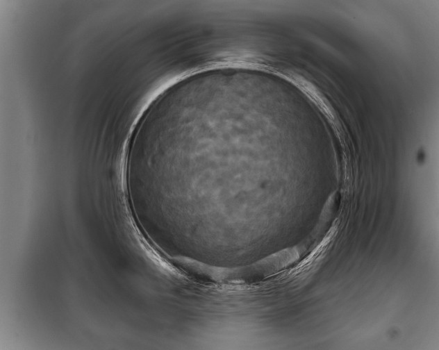 X0000100191246200806061251