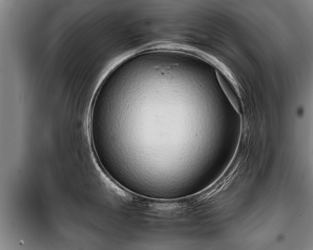 X0000100191247200806061251