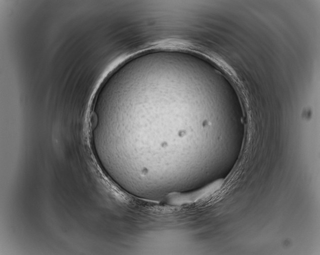 X0000100191248200806061251