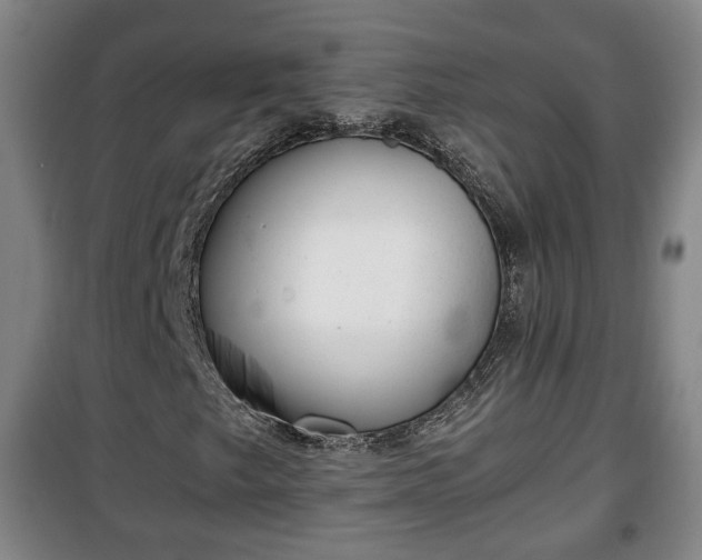 X0000100191249200806061250