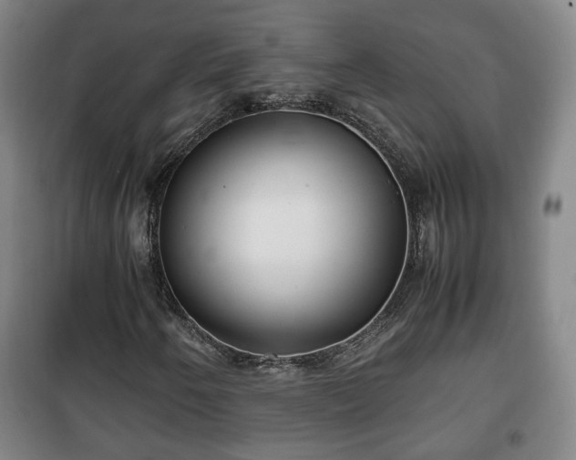 X0000100191250200806061250