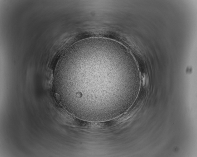 X0000100191251200806061250