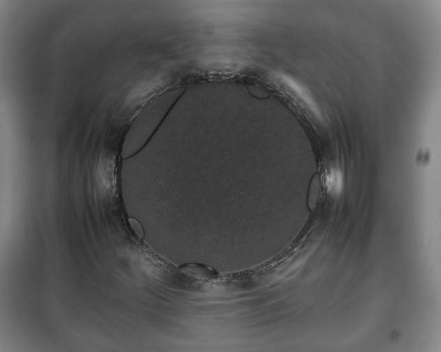 X0000100191252200806061250