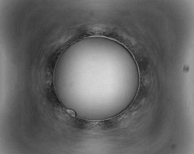 X0000100191253200806061250