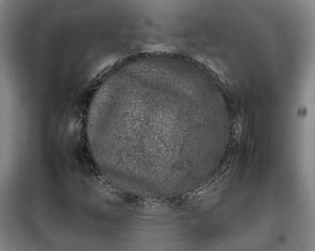 X0000100191254200806061250