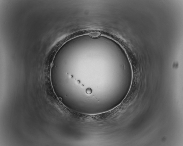 X0000100191255200806061250