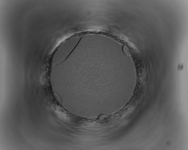 X0000100191256200806061250