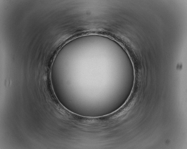 X0000100191257200806061250