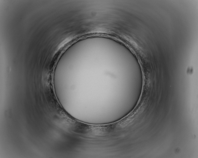 X0000100191258200806061250