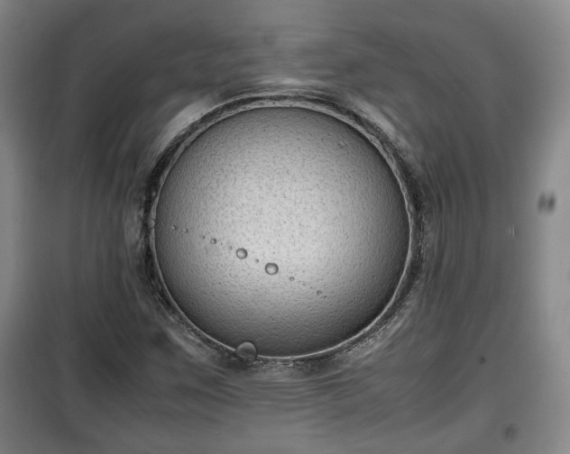 X0000100191259200806061250