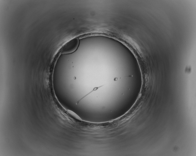 X0000100191260200806061250