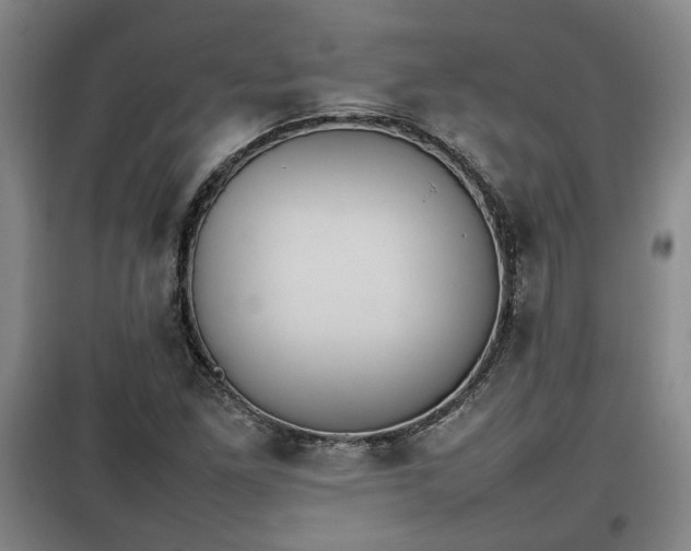 X0000100191261200806061250