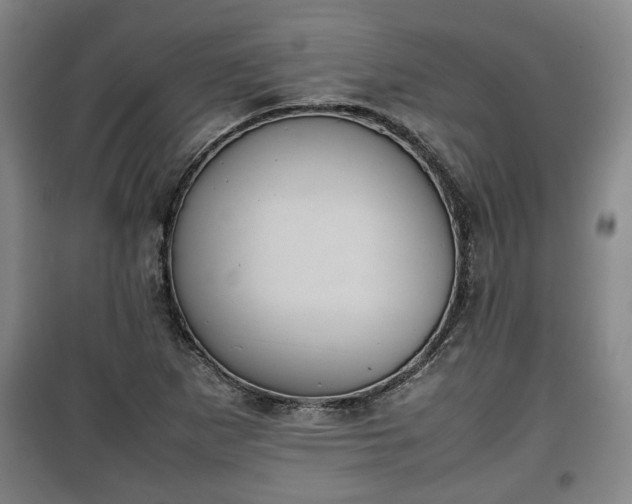 X0000100191265200806061250