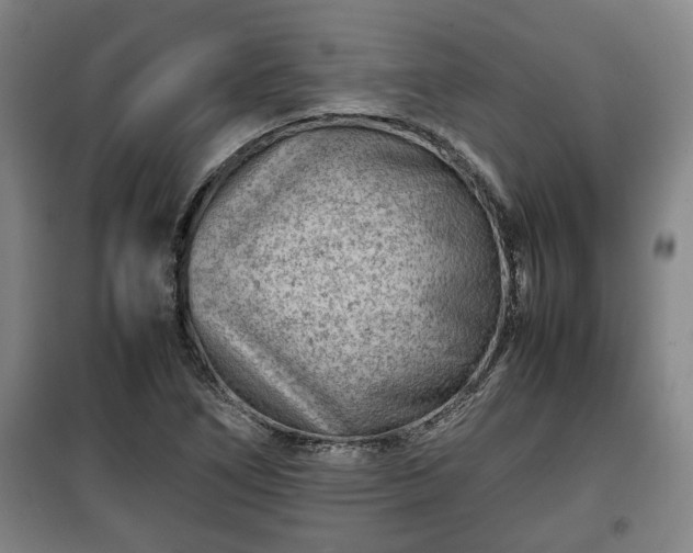 X0000100191266200806061250