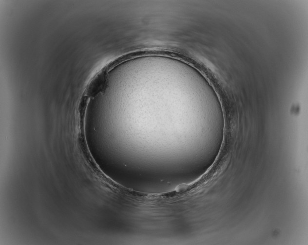 X0000100191267200806061250