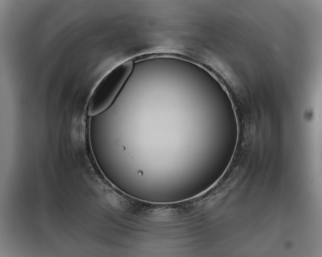 X0000100191268200806061250