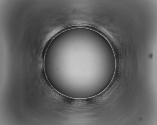 X0000100191269200806061250