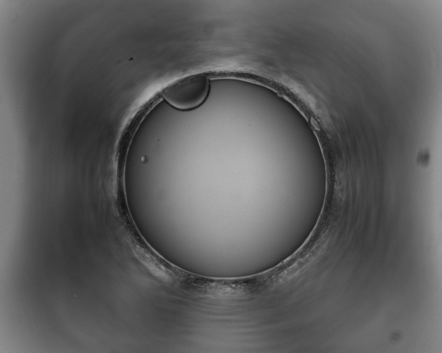 X0000100191270200806061250