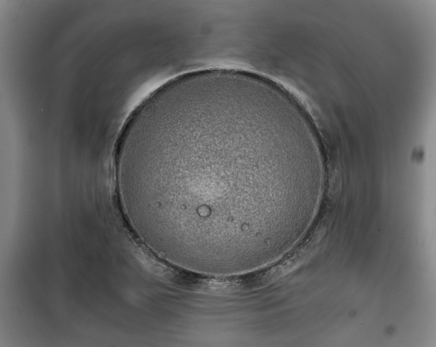 X0000100191271200806061250