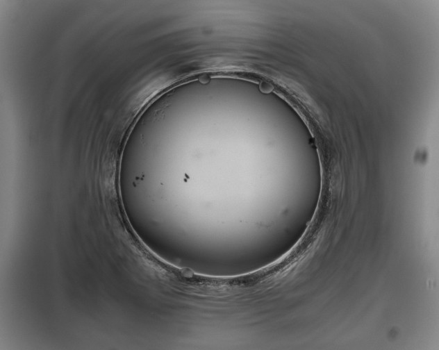 X0000100191273200806061250