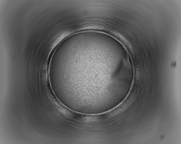 X0000100191274200806061250