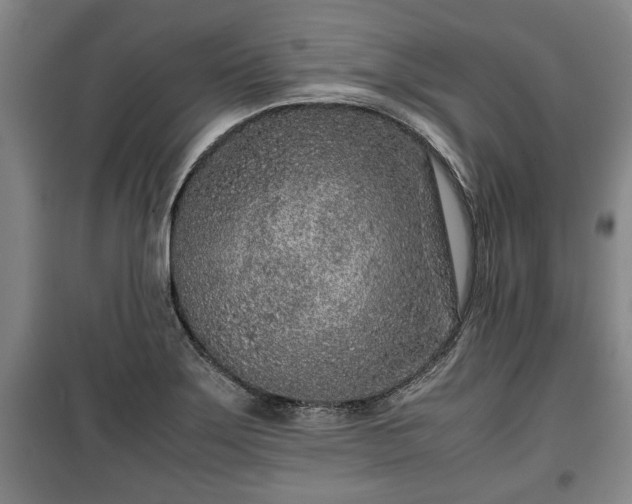 X0000100191275200806061250