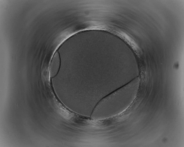 X0000100191276200806061250