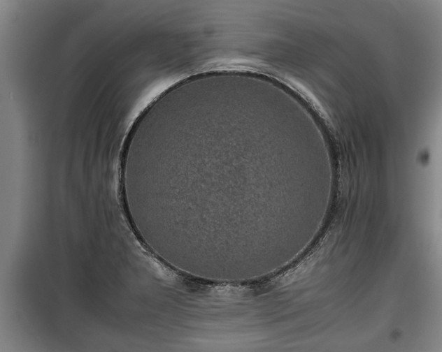 X0000100191277200806061250