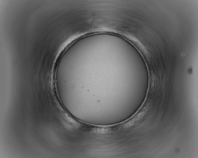 X0000100191278200806061250