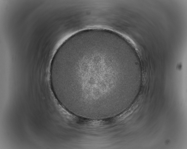 X0000100191279200806061250