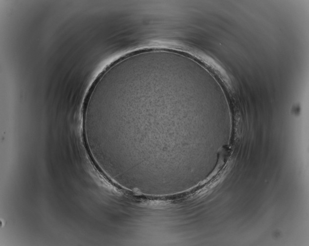 X0000100191280200806061250