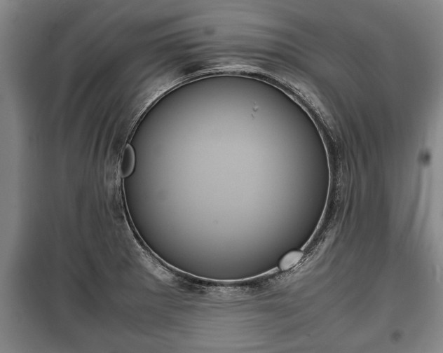 X0000100191281200806061250