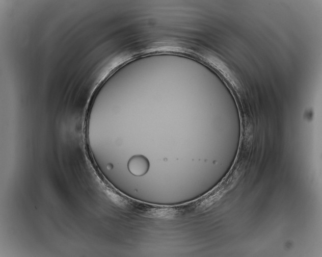 X0000100191282200806061250