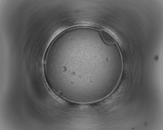 X0000100191283200806061250