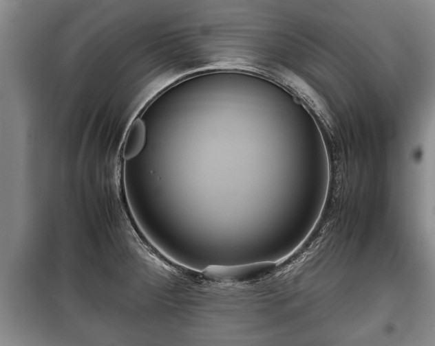 X0000100191284200806061250