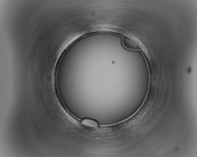 X0000100191285200806061250