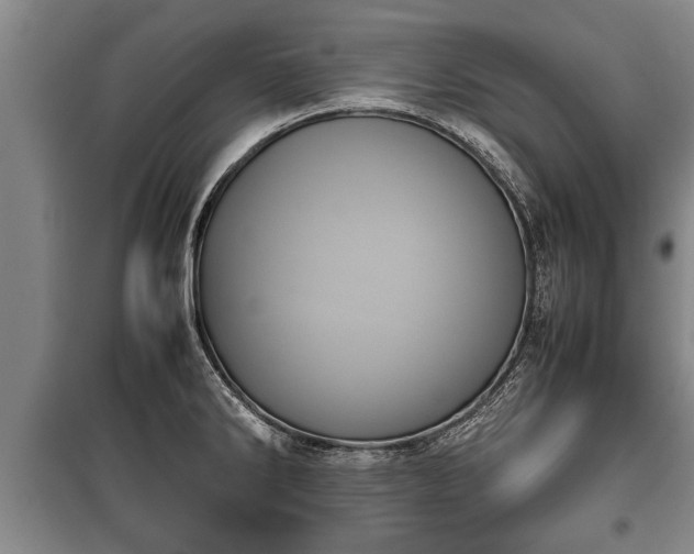 X0000100191286200806061250