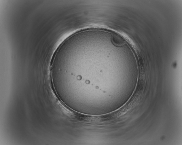 X0000100191287200806061250