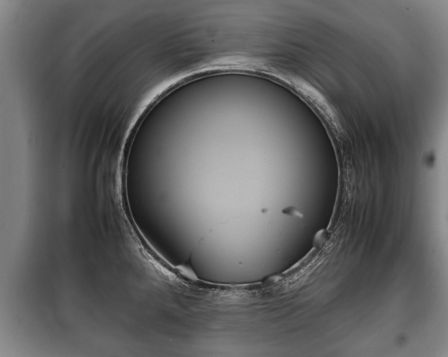 X0000100191288200806061250