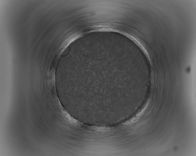 X0000100191289200806061250