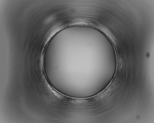 X0000100191290200806061250