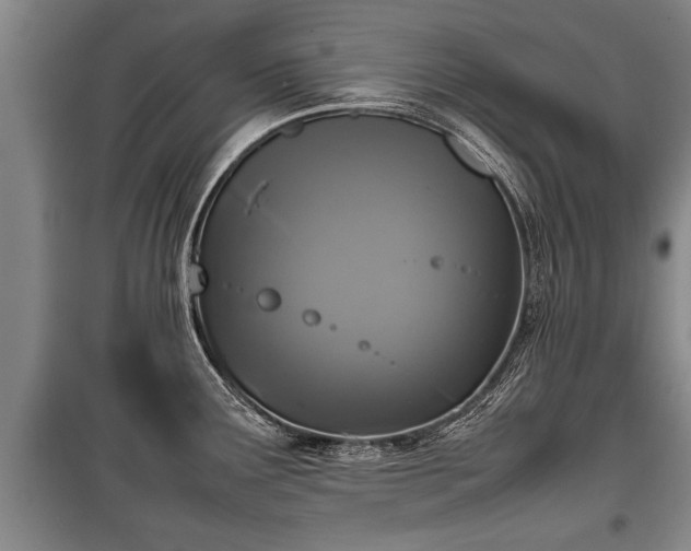 X0000100191291200806061250