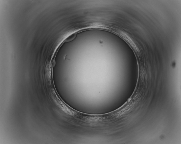 X0000100191292200806061250