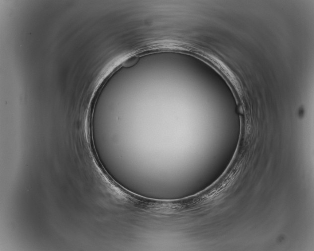 X0000100191293200806061250